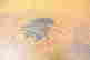 item-136328460=6