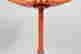 item-136328475=6