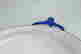item-136328500=7