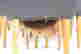 item-136328577=15
