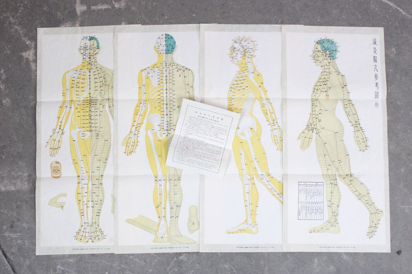 Set of 4 Anatomical Medical Charts of Acupuncture Points (1 of 11)
