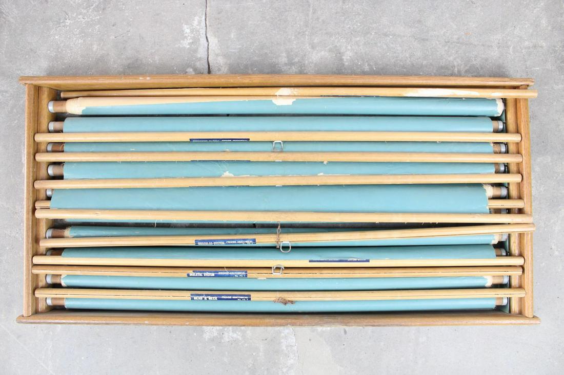 Set of 10 AJ Nystrom American Frohse Anatomical Charts in Oak Crate, 1918 (1 of 19)