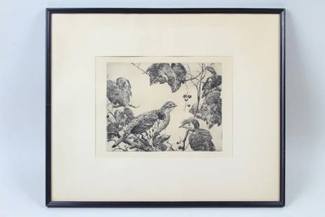 Aiden Lassell Ripley Drypoint Etching "Grouse and Vines": Aiden Lassell Ripley Drypoint Etching "Grouse and Vines." Titled lower left and signed lower right. Plate measures 6 1/2" by 8 3/8". Matted and in an ebonized wood frame. An outdoorsman as well as a p