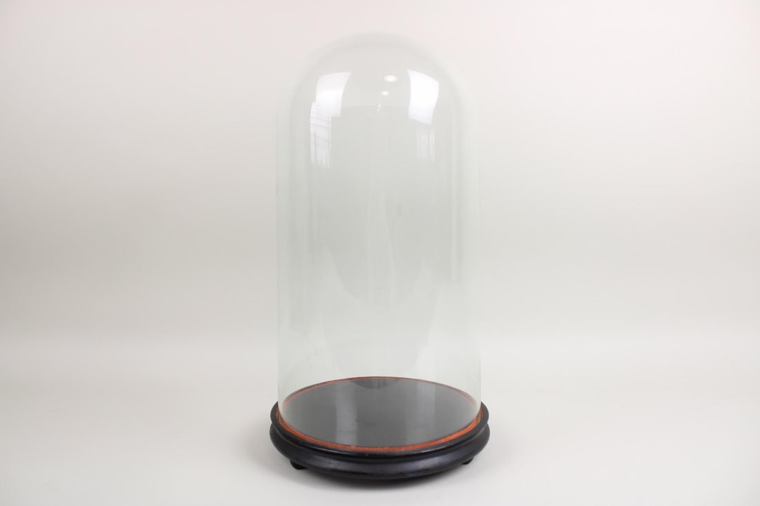 Glass Cloche Dome Display with Wooden Base (1 of 7)