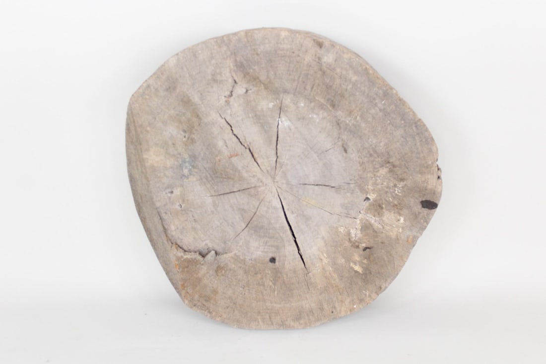 Large Wood Live Edge Slab, Tree Cross Section, 2 of 2 (1 of 8)