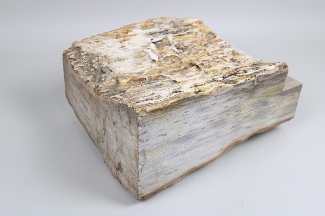 Large Piece of Petrified Wood, 1 of 2 (1 of 9)