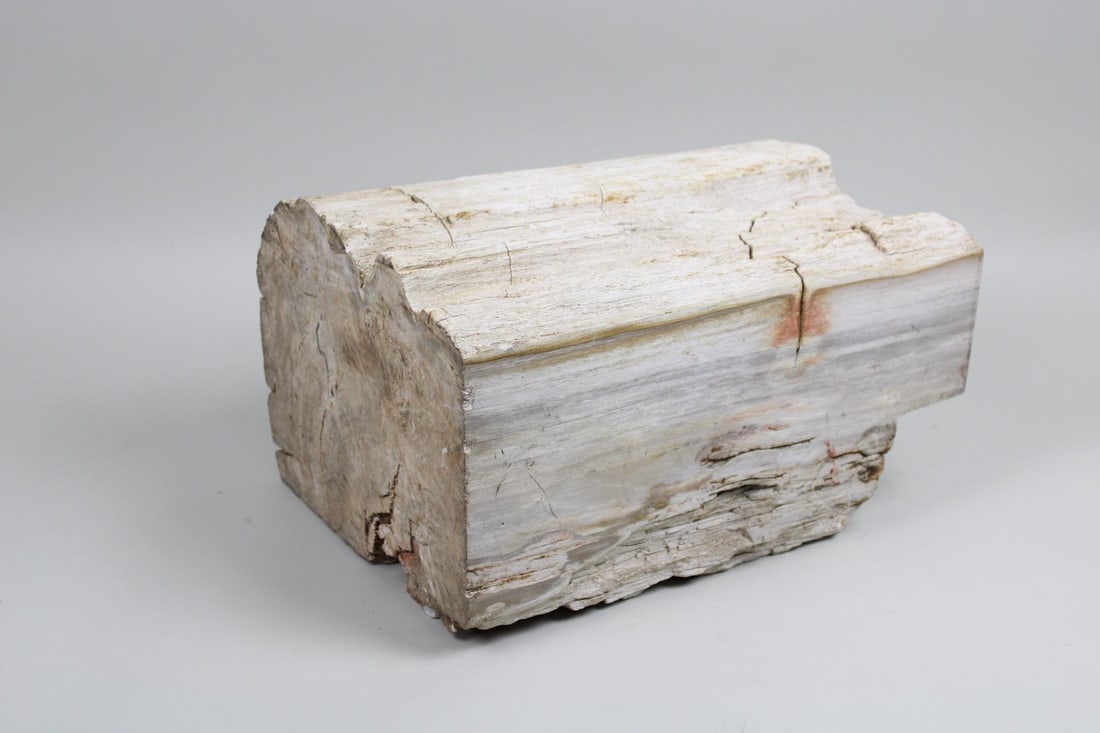 Large Piece of Petrified Wood, 2 of 2 (1 of 7)