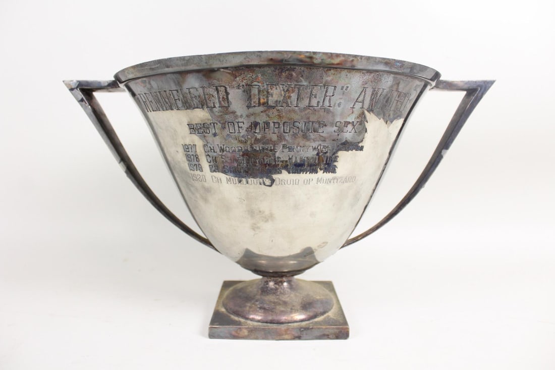 Silver Plate Dog Show Trophy, "Best of Opposite Sex" (1 of 14)