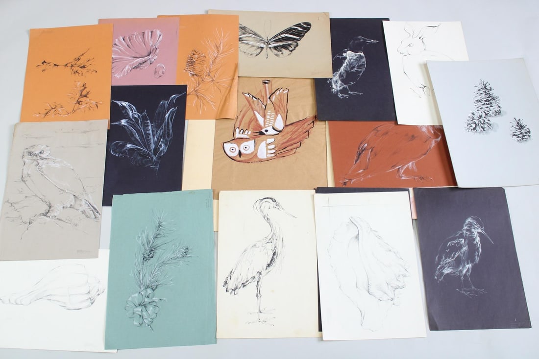 Lot of 17 Mid-Century Nature Illustration Drawings, Dorothy Trickett: Lot of 17 Mid-Century Nature Illustration Drawings, Dorothy Trickett. This lot of sketches, plus a collage, includes drawings of owls, butterflies, seashells, plants, birds, a rabbit, mostly in black 