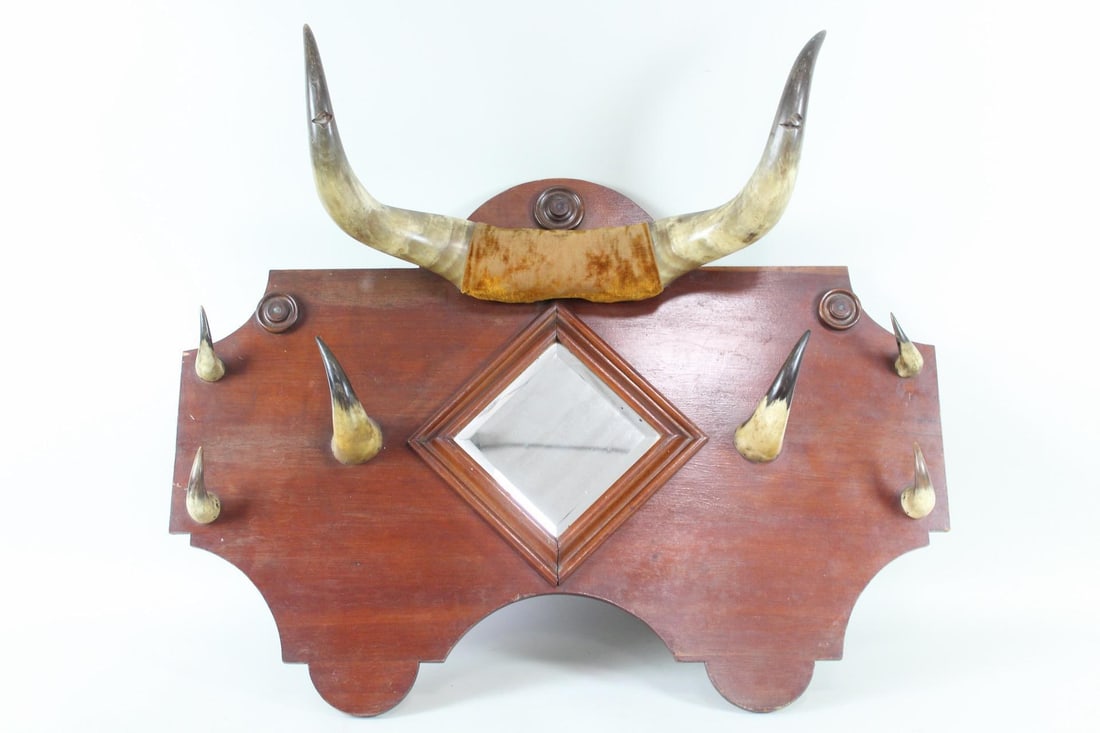 Western Bull Horn & Wood Coat Rack with Mirror (1 of 12)