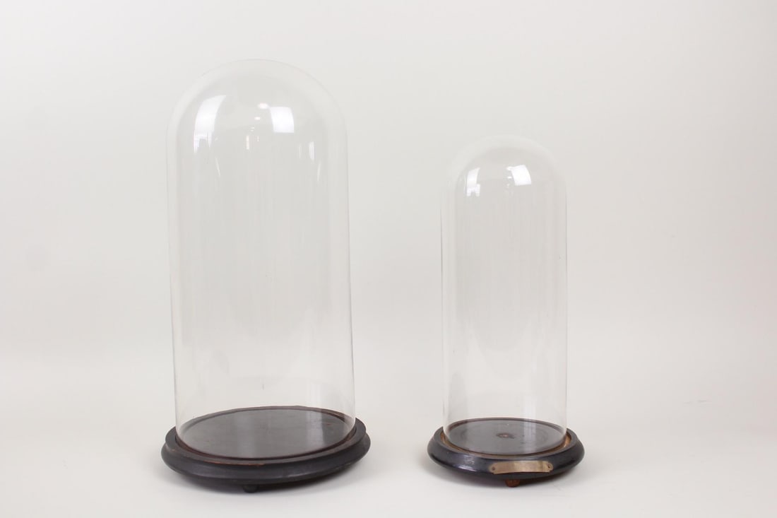 Pair of Glass Cloche Dome Display Cases on Bases (1 of 7)