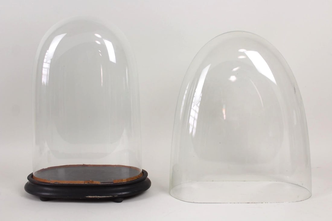 Pair of Oval Glass Cloche Dome Displays, One Wood Base (1 of 8)