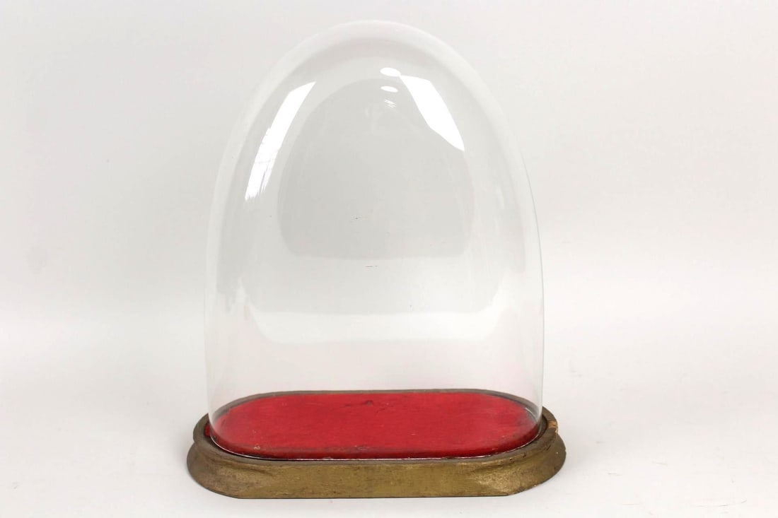 Oval Glass Cloche Dome with Red Felt Gilded Wooden Base (1 of 7)