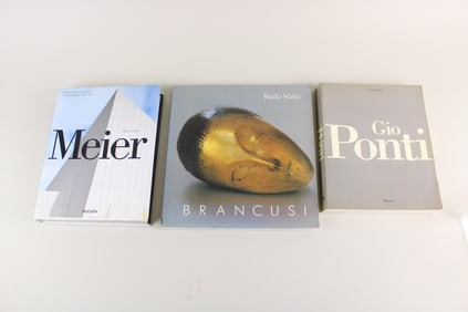 Lot of 3 Modern Art & Design Books, Gio Ponti, Brancusi & Meier