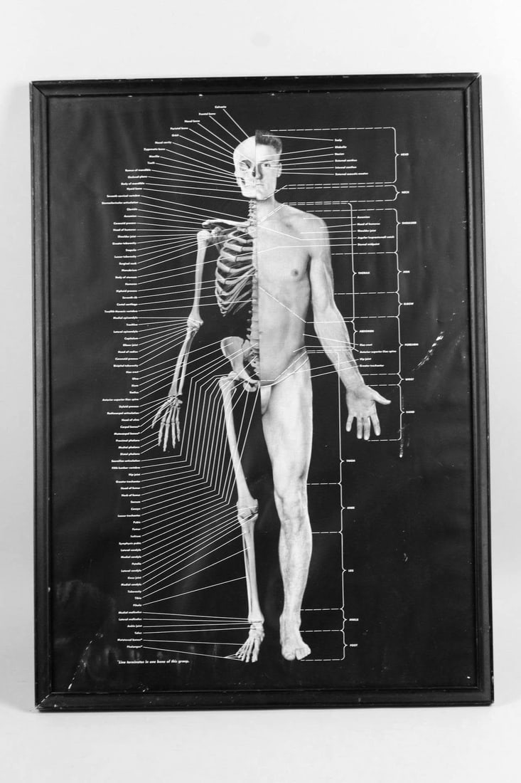 Eastman Kodak Company Human Body Medical Poster (1 of 10)