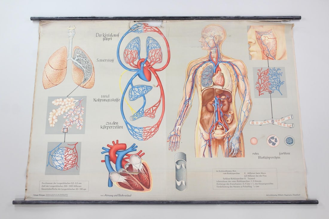 German Medical Blood & Breath Chart (1 of 10)