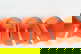 item-199809355=13