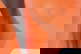 item-199809355=6