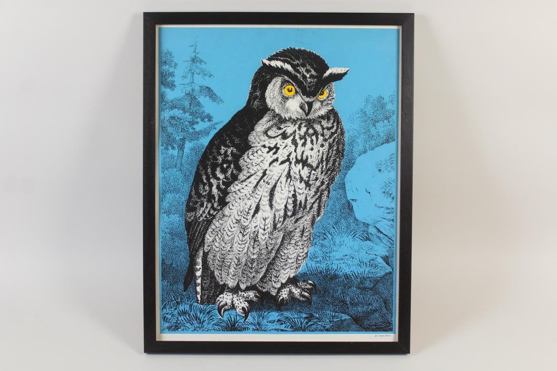Mr. Owl Framed Pop Art Screenprint, Tiber Press, Floriano Vecchi (1 of 8)