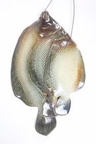 Rosalie Nadeau Studio Pottery Flounder Sculpture