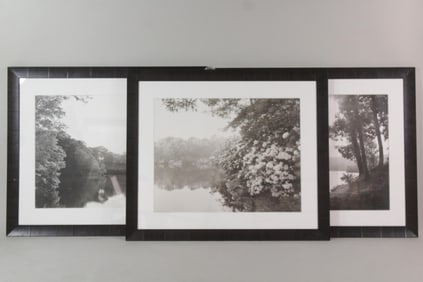 Set of 3 Large Nature Photographs by Ray Mortensen