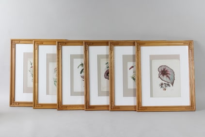 Lot of 6 Framed 19th C Watercolor Floral Botanical Studies