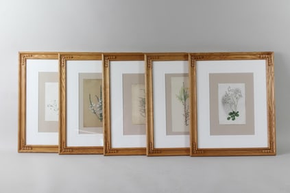 Lot of 5 Framed 19th C Watercolor Floral Botanical Studies
