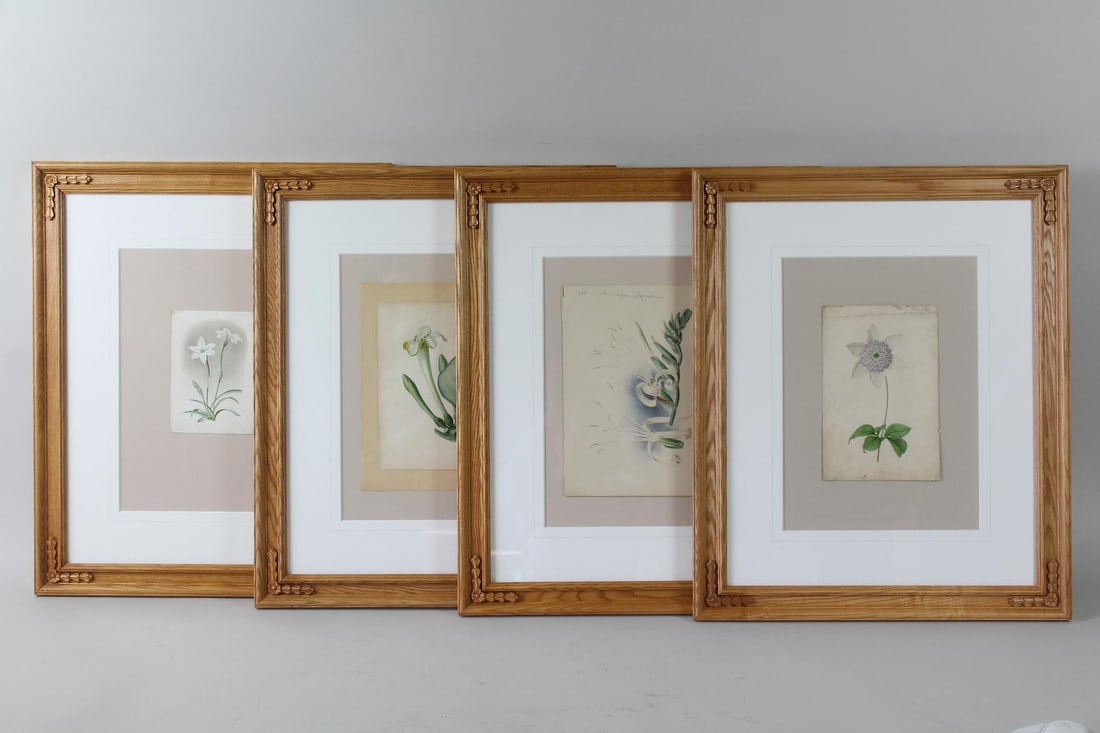 Lot of 4 Framed 19th C Watercolor Floral Botanical Studies (1 of 19)