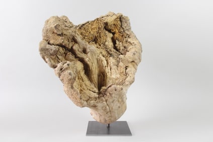 Large Natural Burl Wood on Custom Stand