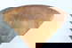 item-208482012=9