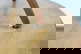 item-208482038=10