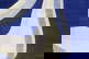 item-208482166=6