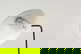 item-208482242=6