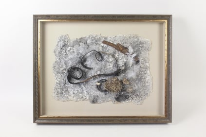 Framed Nature Assemblage with Wasp's Nest, Moth & Feather
