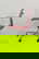 item-208482415=10