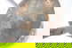 item-210556784=6
