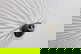 item-210556837=13