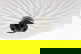 item-210556837=7