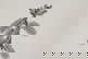 item-210556872=10