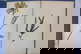 item-210556872=12
