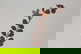 item-210556872=14