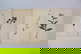 item-210556872=19