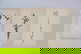 item-210556872=4