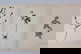 item-210556872=9