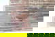 item-210556876=8