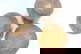 item-210556972=3