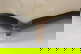 item-210556981=4