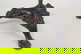 item-210556984=2