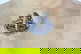 item-210557022=4