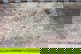 item-210557053=4